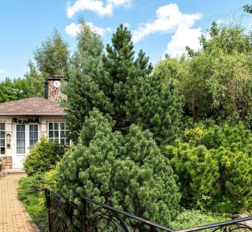 Резиденция в КП Павлово-1