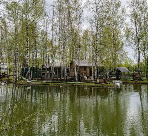 Руза Фэмили Парк