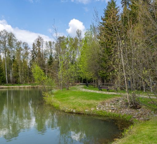 Руза Фэмили Парк