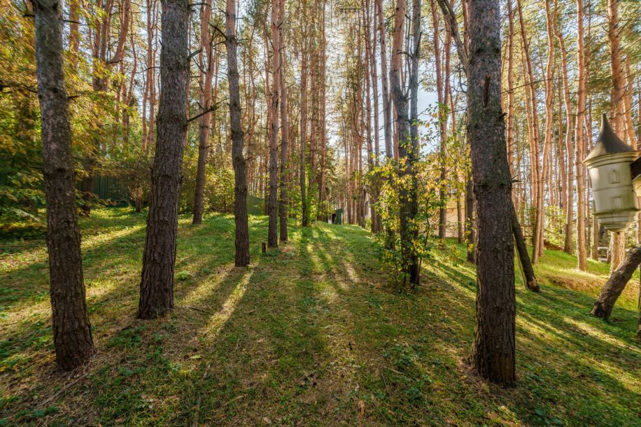 Участок у воды в Лобаново