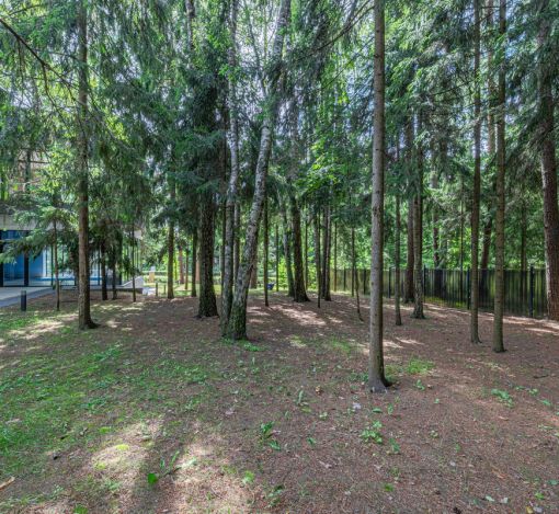 Дом с бассейном в Ренессанс парк