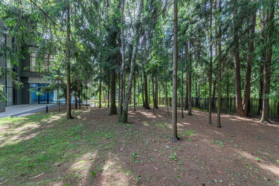 Дом с бассейном в Ренессанс парк