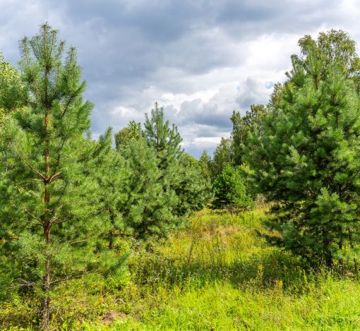 Озерна Резиденс