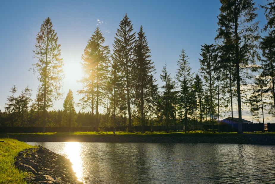 Участок у воды в КП Ели Эстейт