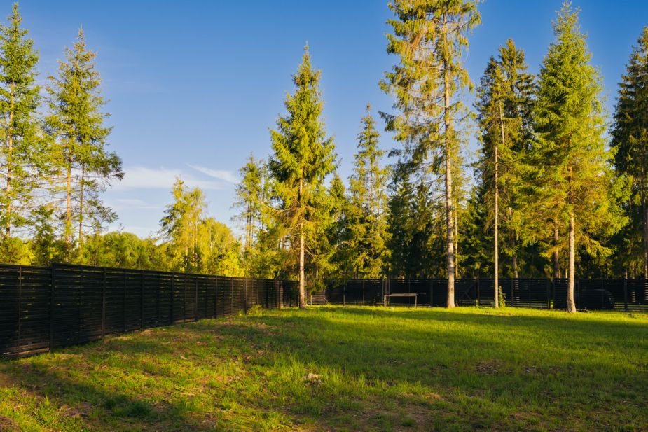 Лесной участок в КП Ели Эстейт