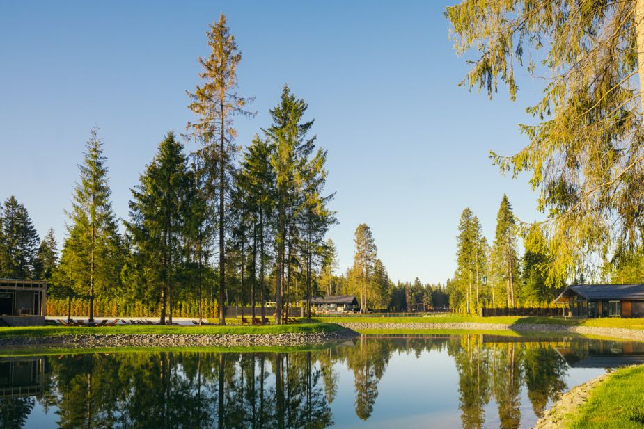 Лесной участок в КП Ели Эстейт