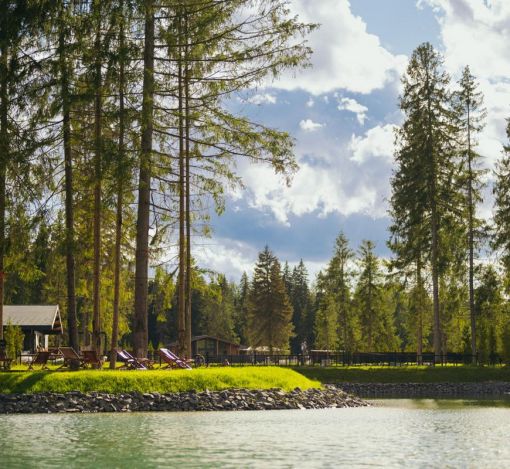 Лесной участок в КП Ели Эстейт