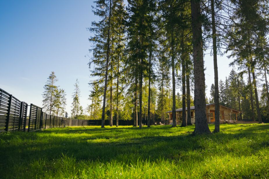 Лесной участок в КП Ели Эстейт