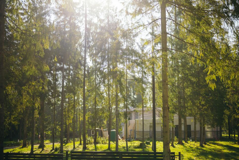 Лесной участок в КП Ели Эстейт