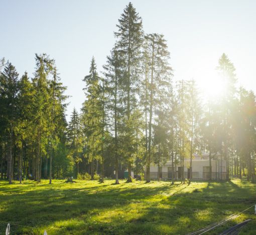 Лесной участок в КП Ели Эстейт