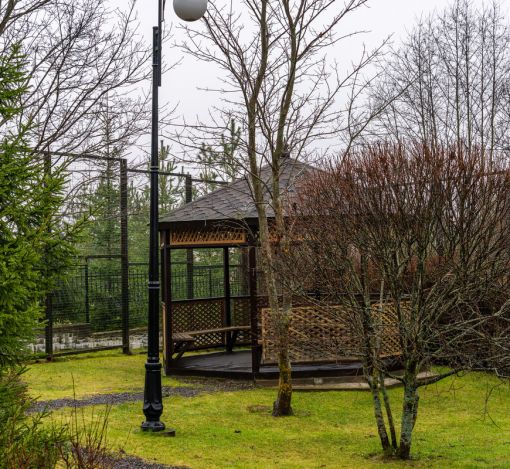 Новорижский (Борки)