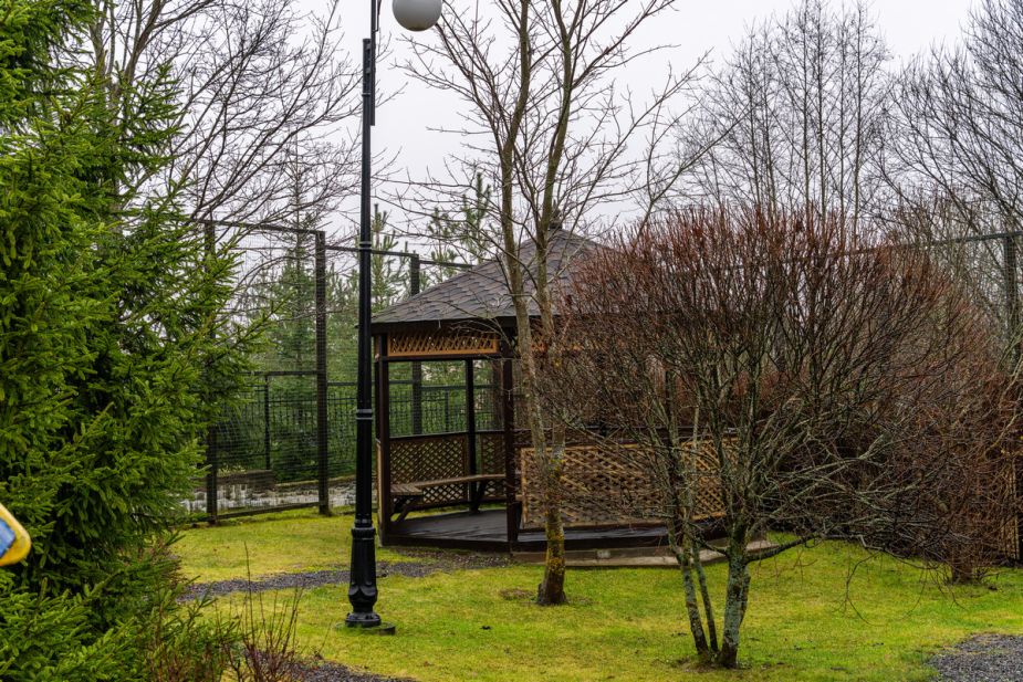 Новорижский (Борки)