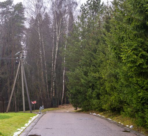 Новорижский (Борки)