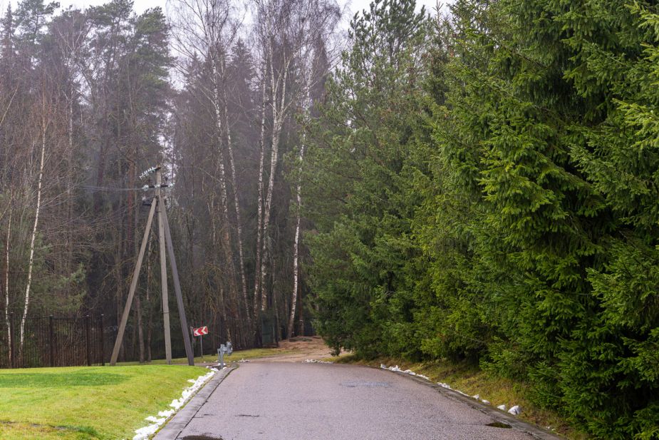 Новорижский (Борки)