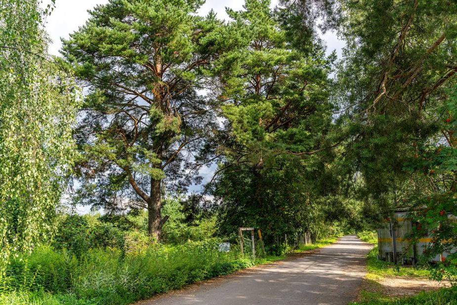 Участок в КП Озерна Резиденс