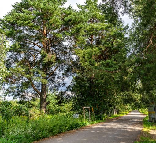 Участок в КП Озерна Резиденс