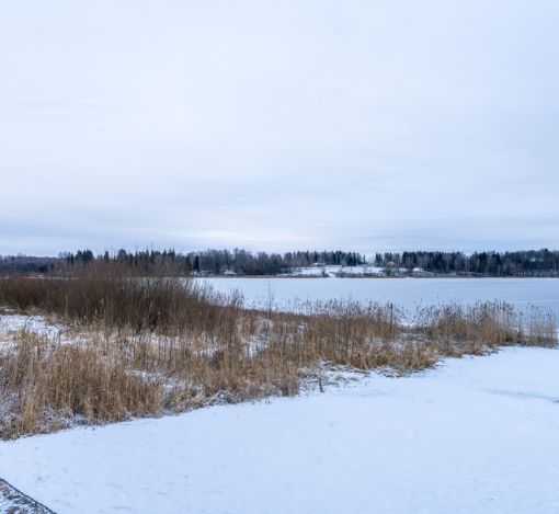 Рузские дачи