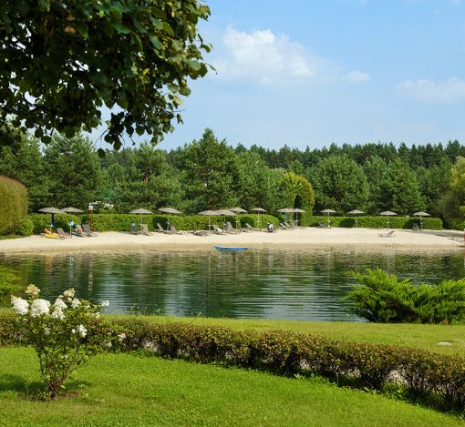 Дом под отделку в Ренессанс парк