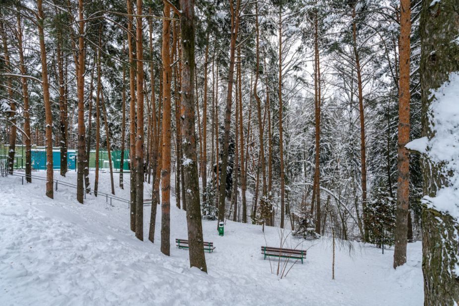 Алексеево Парк