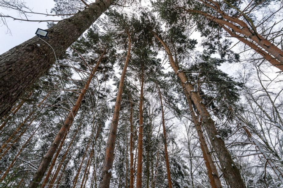 Алексеево Парк