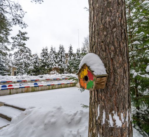Алексеево Парк