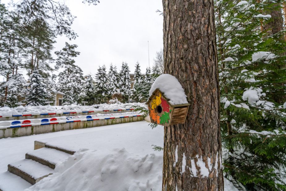 Алексеево Парк