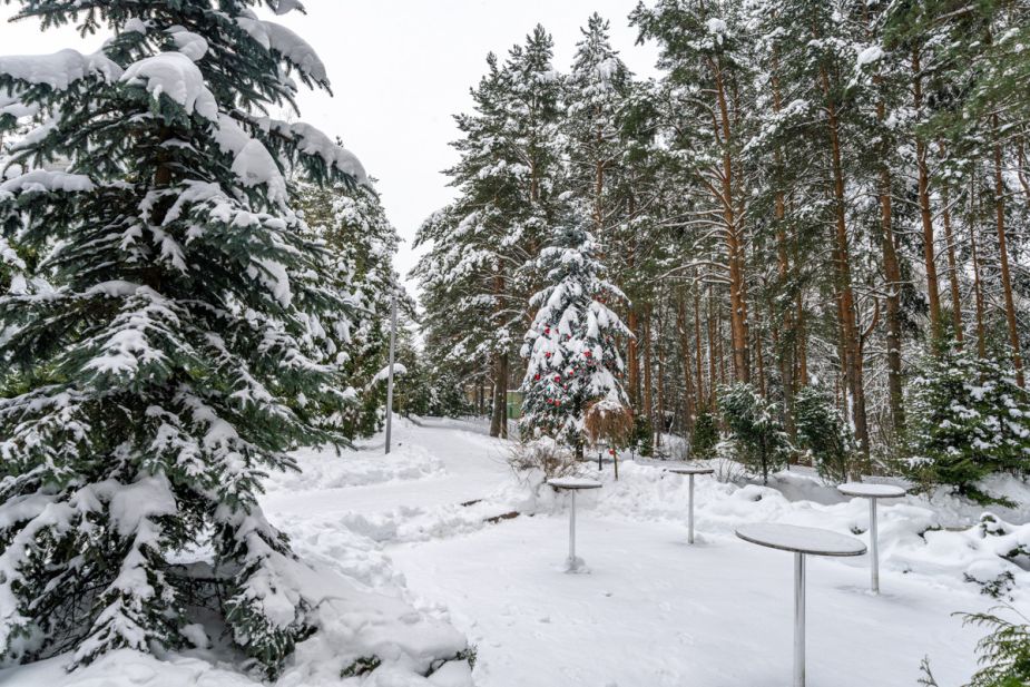 Алексеево Парк