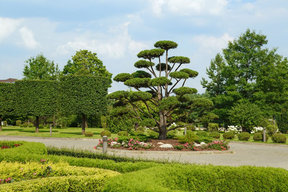 Готовый дом в КП Ренессанс парк