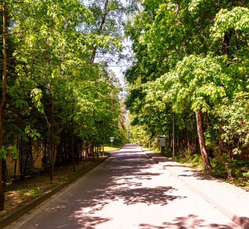 Дом в КП Косыгинсие дачи