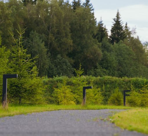 Прилесной участок в КП Ели Эстейт