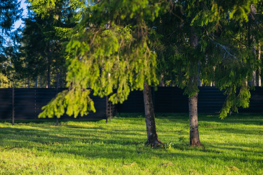 Лесной участок в КП Ели Estate