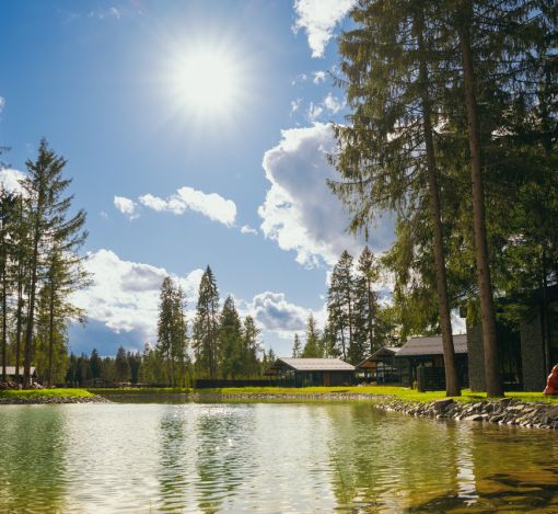 Лесной участок в КП Ели Estate