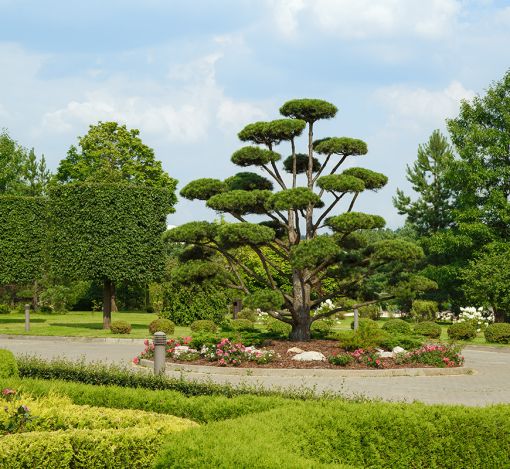 Дом под отделку в Ренессанс парке