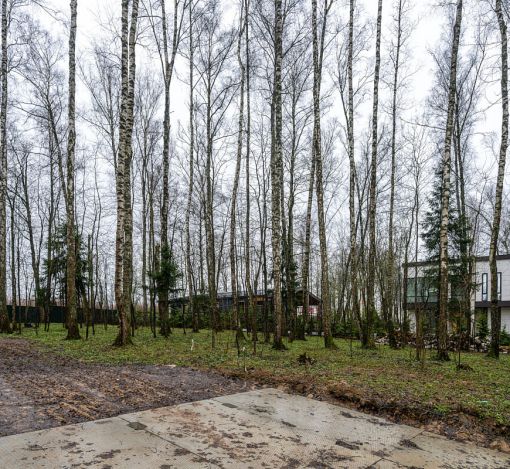 Лесной часток в КП Лесные зори