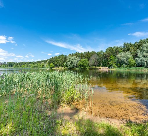 Акватория Истры