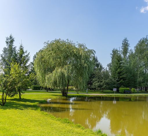 Новорижский