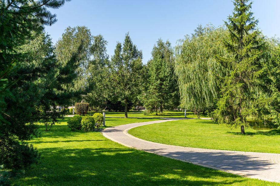 Новорижский