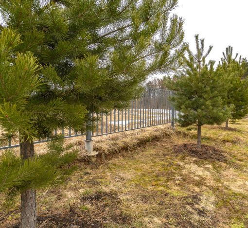 Высокий берег