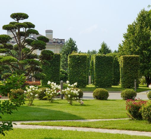 Ренессанс Парк