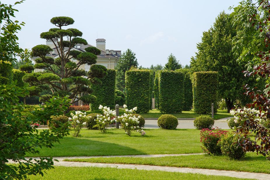 Ренессанс Парк