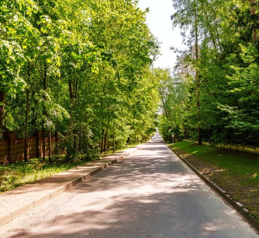 Поселок дачного хозяйства Архангельское