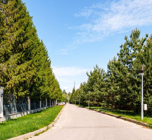 Поселок дачного хозяйства Архангельское