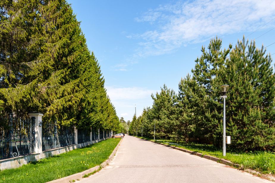 Поселок дачного хозяйства Архангельское