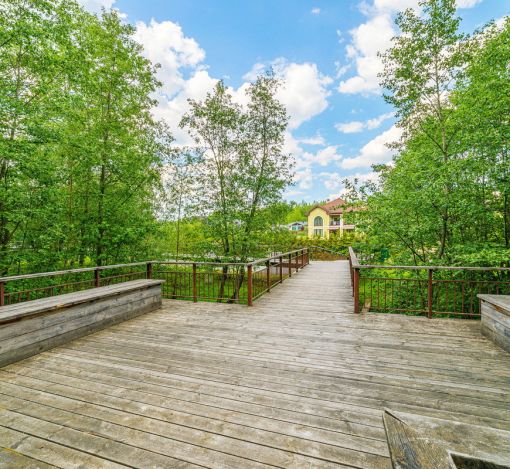 Новолеоново