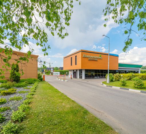 Новолеоново