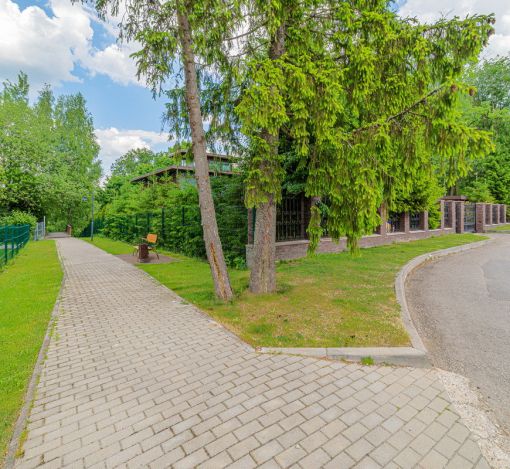 Новолеоново