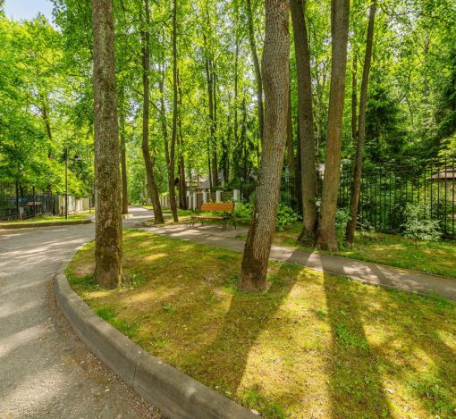 Новолеоново