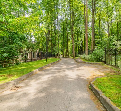 Новолеоново