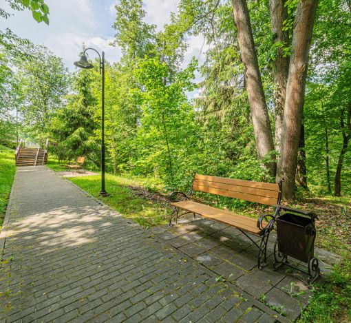 Новолеоново