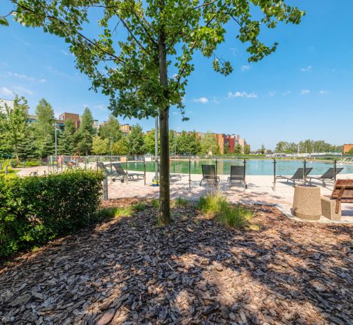 Футуро Парк